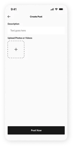 wireframe